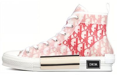 DIOR B23