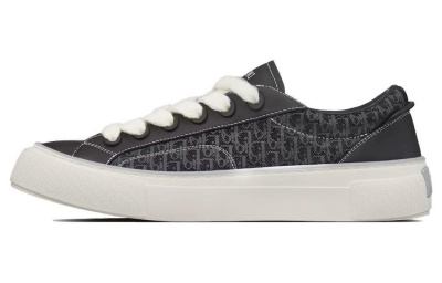 DIOR B33