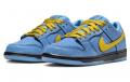 Nike Dunk SB