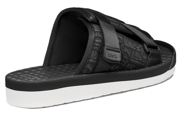 DIOR Alpha