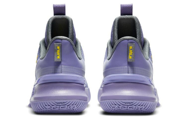 Nike Ambassador 13 LeBron Lakers 13