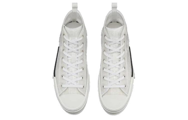Dior B23 Oblique