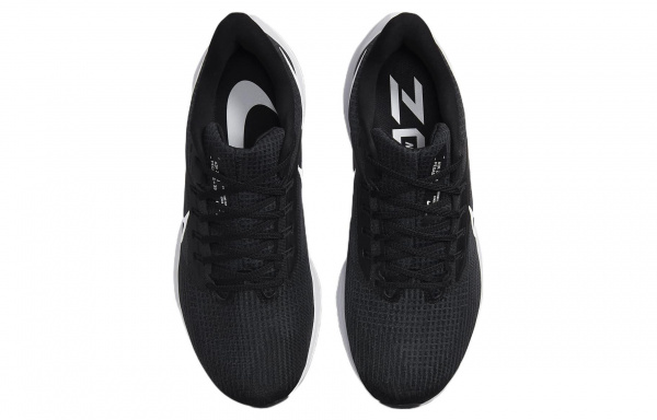 Nike Air Zoom Pegasus 39 extra wide