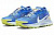 Nike Pegasus