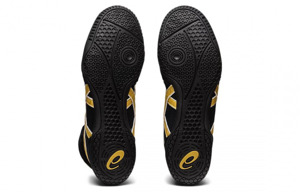 Asics Dan Gable Evo 3