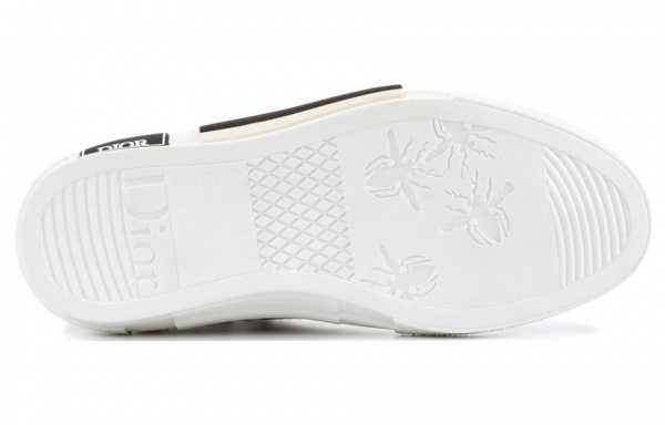 DIOR B23 oblique