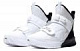 Nike Lebron